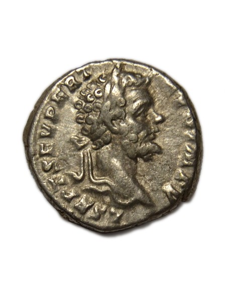 SEPTIMIO SEVERO - Denario