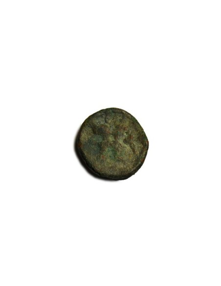 EBUSUS 