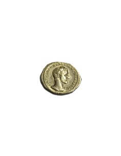 MACRINO