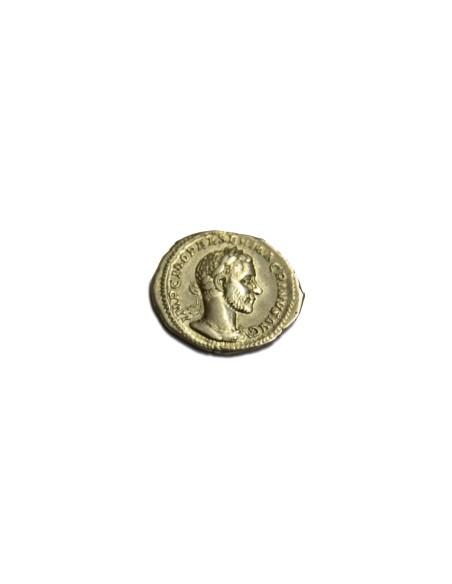 MACRINO