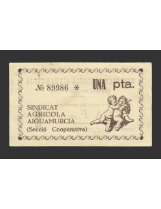 AIGUAMURCIA (Tarragona) 2