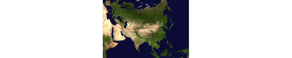Asia