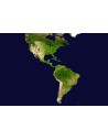 AMÉRICA